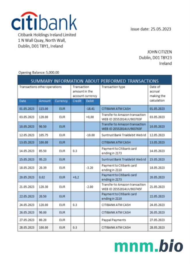 Ireland Bank of Ireland statement template w formacie Word i PDF